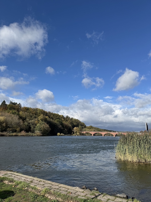 Urlaub in der Heimat:                                    Geheimtipp Marktheidenfeld